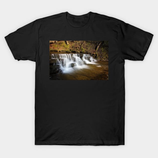 Scalebar Force waterfall, Yorkshire T-Shirt by rgrayling